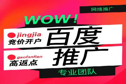 企业成功案例：百度竞价托管的实践与思考