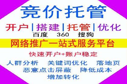 某电商平台的SEM推广策略——代运营公司的实践